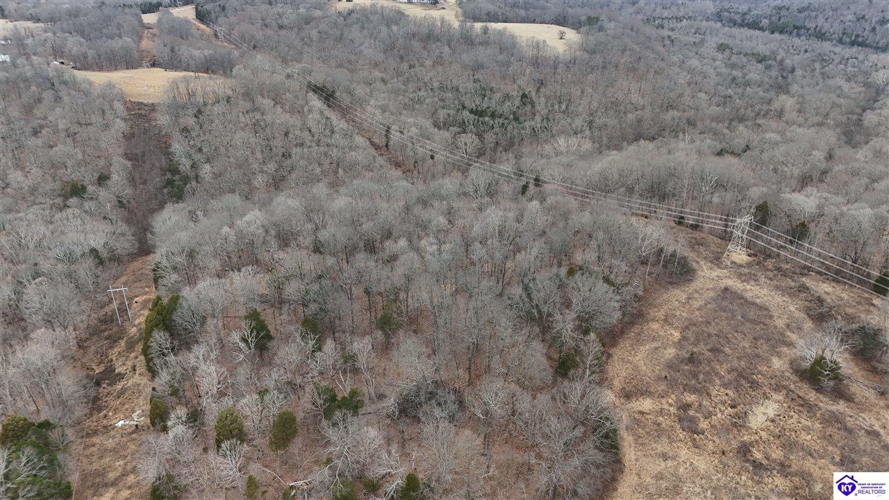 54 Wand Cemetery Road Bowling Green, KY 42101 #2