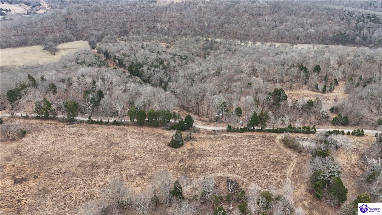 54 Wand Cemetery Road Bowling Green, KY 42101 #3