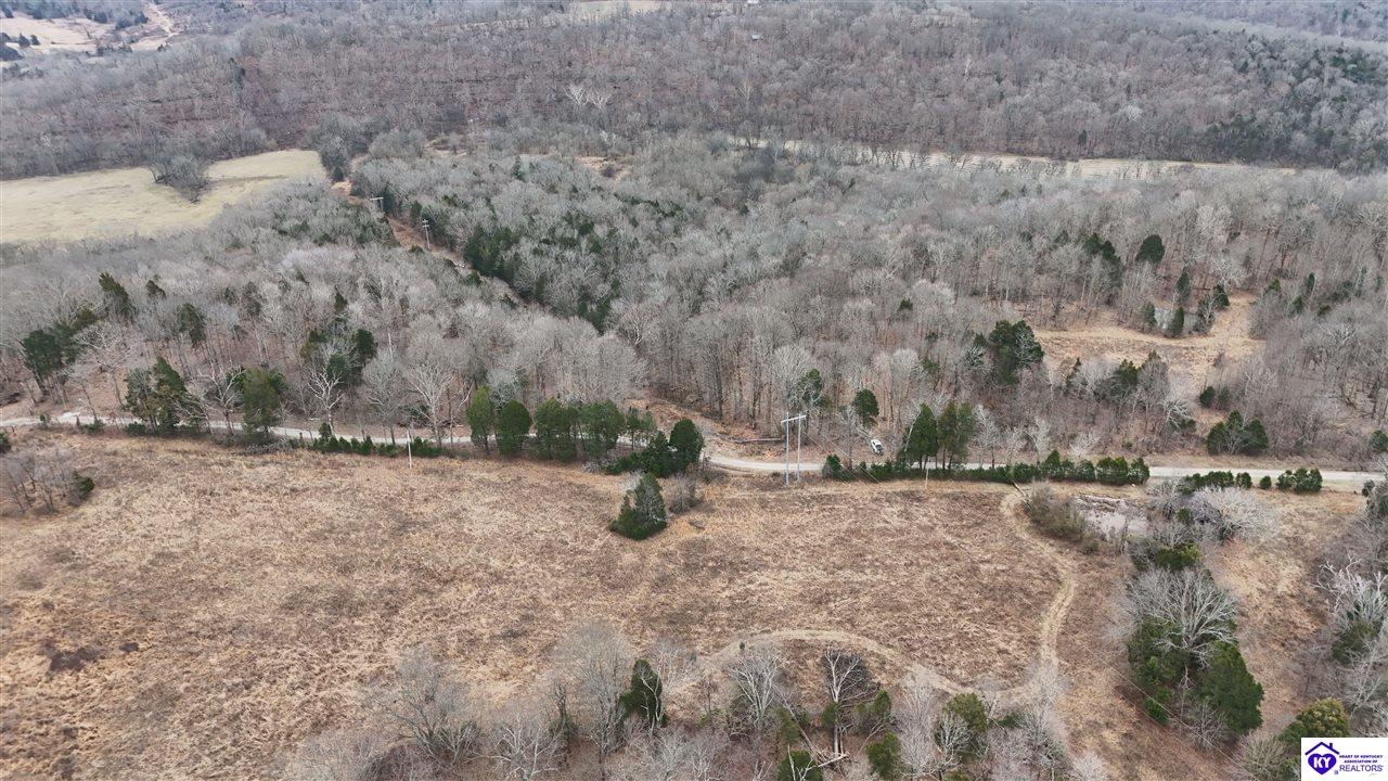 54 Wand Cemetery Road Bowling Green, KY 42101 #4