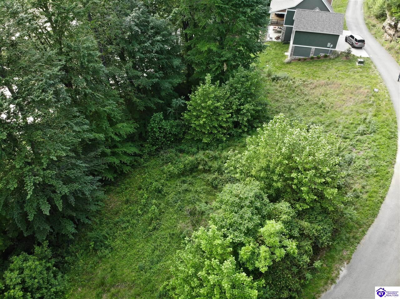 2164 Patriot Shores Lane Westview, KY 40178 #3