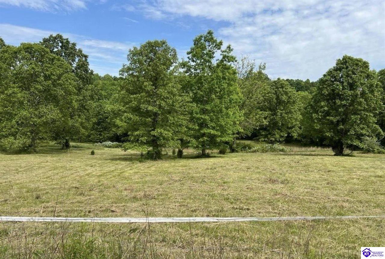 Lot 1 Constantine RoadCecilia,&nbsp;KY&nbsp;42724