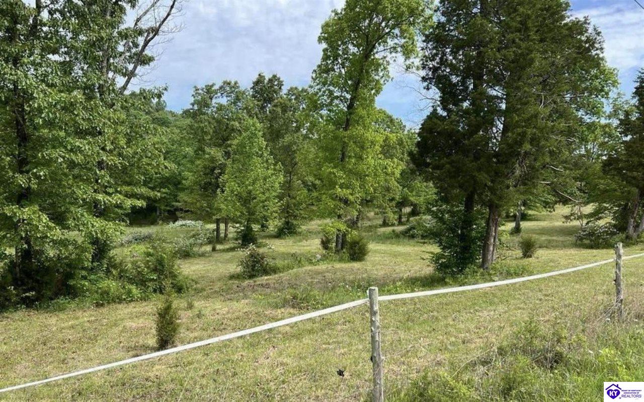 Lot 2 Constantine RoadCecilia,&nbsp;KY&nbsp;42724
