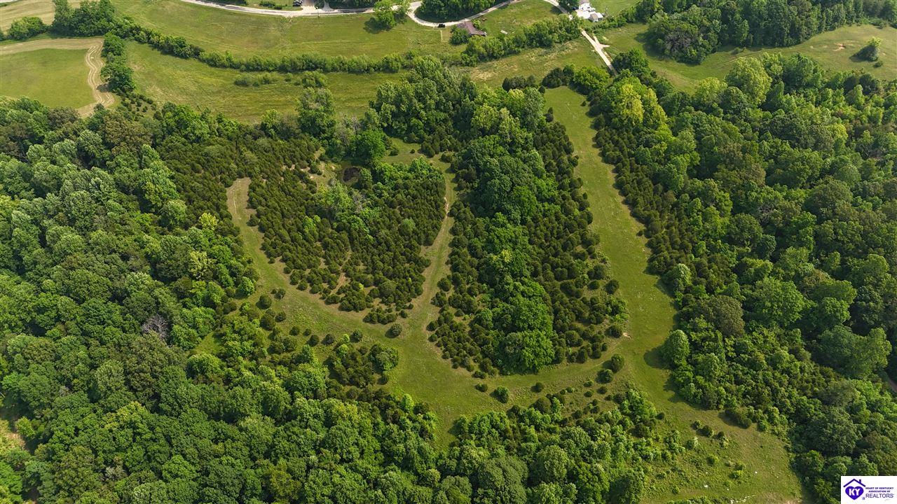 0 Locust Grove Road Bonnieville, KY 42713 #1