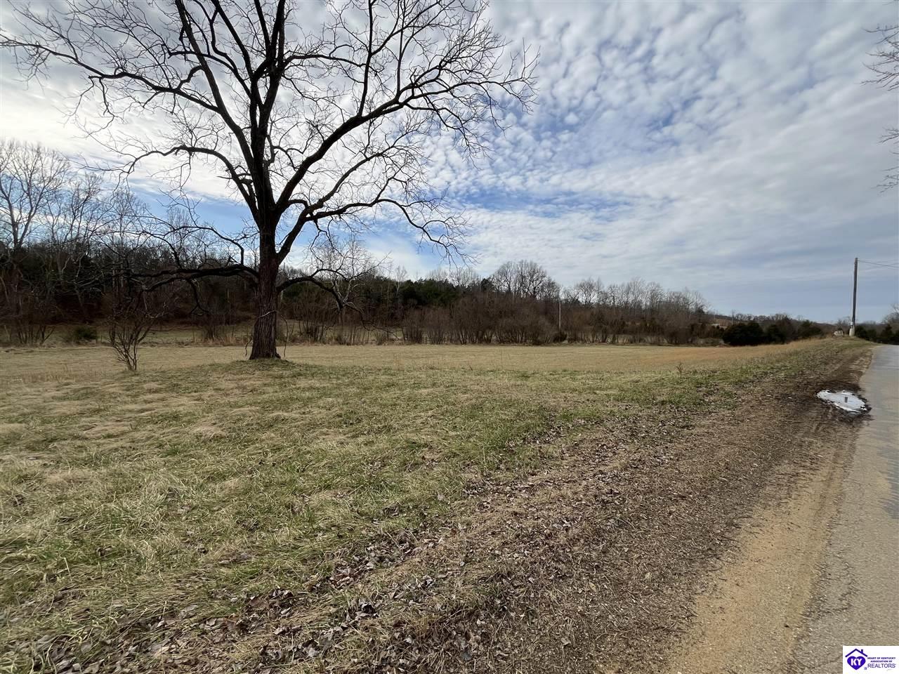 0 Locust Grove Road Bonnieville, KY 42713 #2