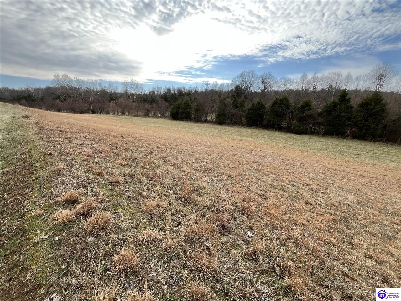 0 Locust Grove Road Bonnieville, KY 42713 #3