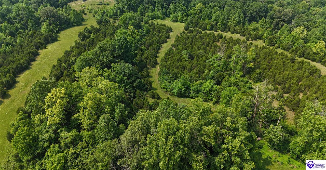 0 Locust Grove Road Bonnieville, KY 42713 #4