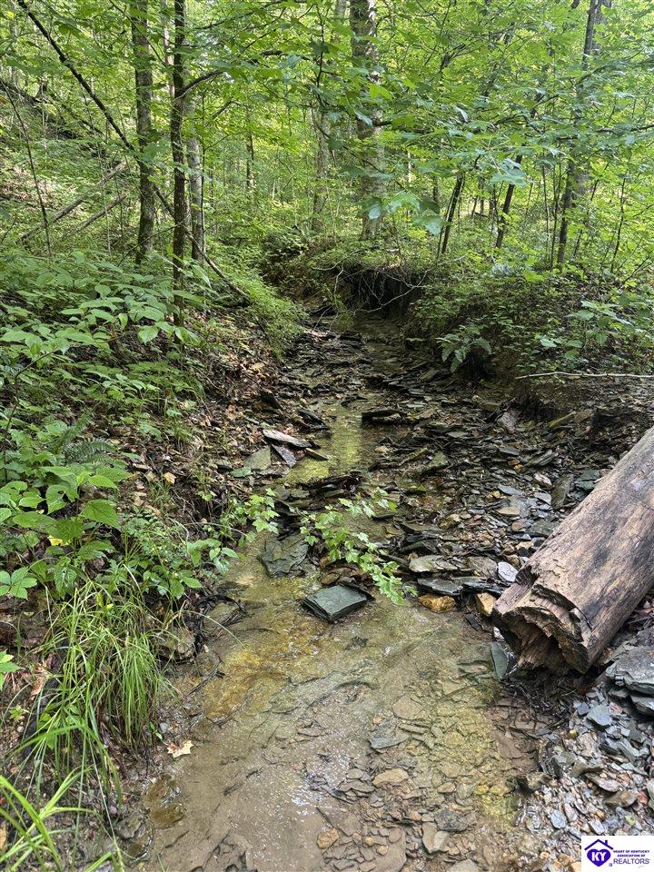 7209 Dry Creek Road Elkhorn, KY 42539 #2