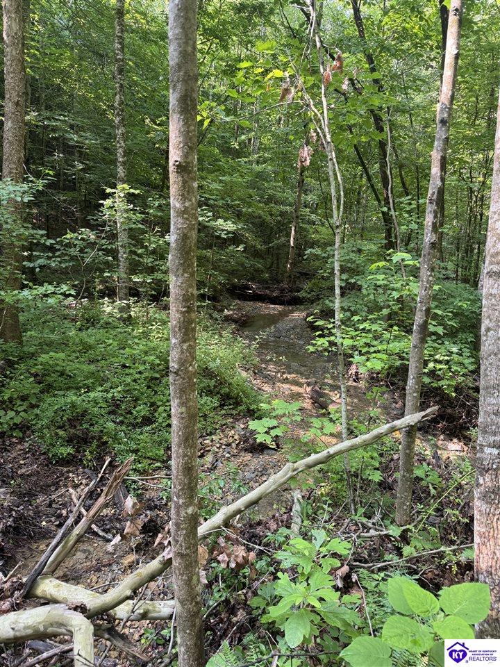 7209 Dry Creek Road Elkhorn, KY 42539 #3
