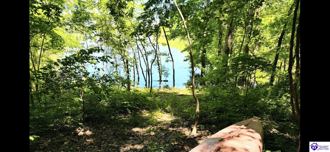 150 Parkside Drive Falls Of Rough, KY 40119 #2
