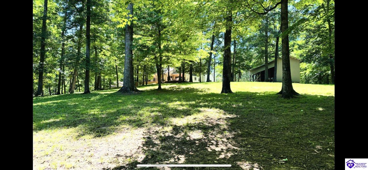 150 Parkside Drive Falls Of Rough, KY 40119 #4