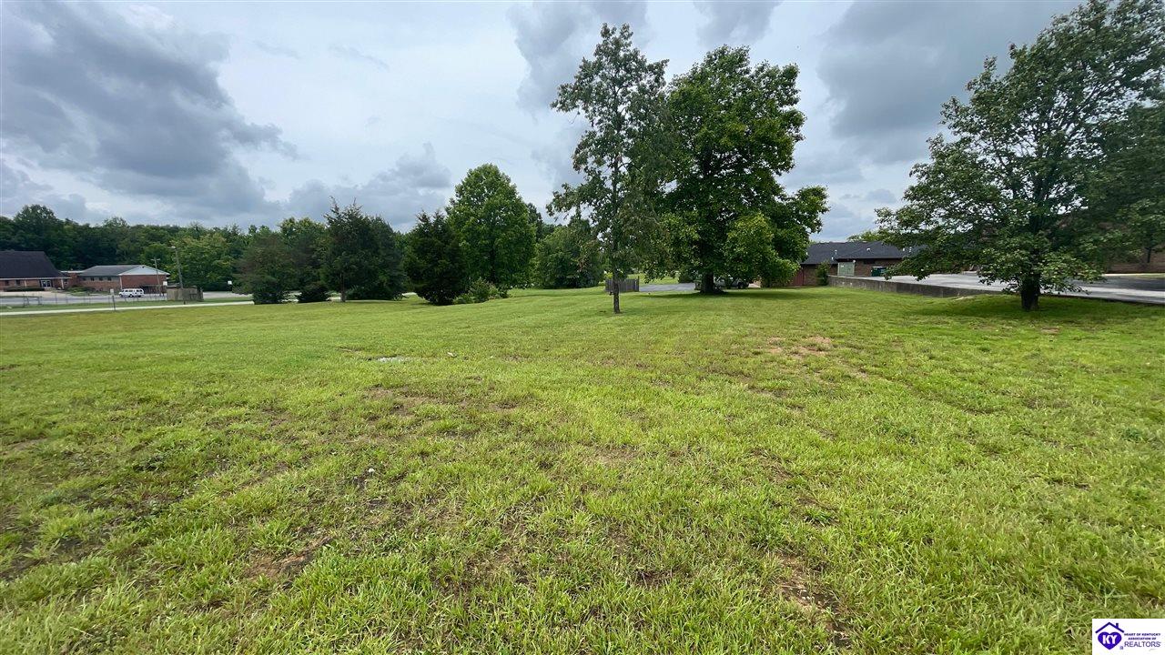 166 S Woodland Drive Radcliff, KY 40160 #1