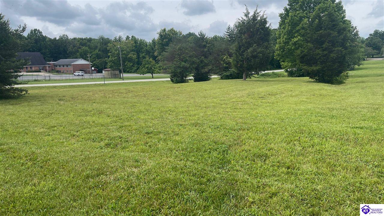 166 S Woodland Drive Radcliff, KY 40160 #2