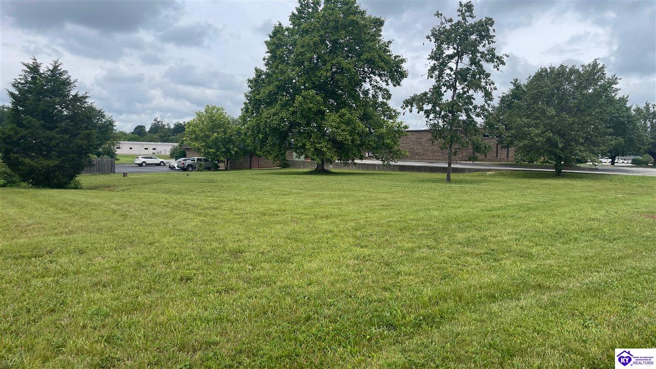 166 S Woodland Drive Radcliff, KY 40160 #3