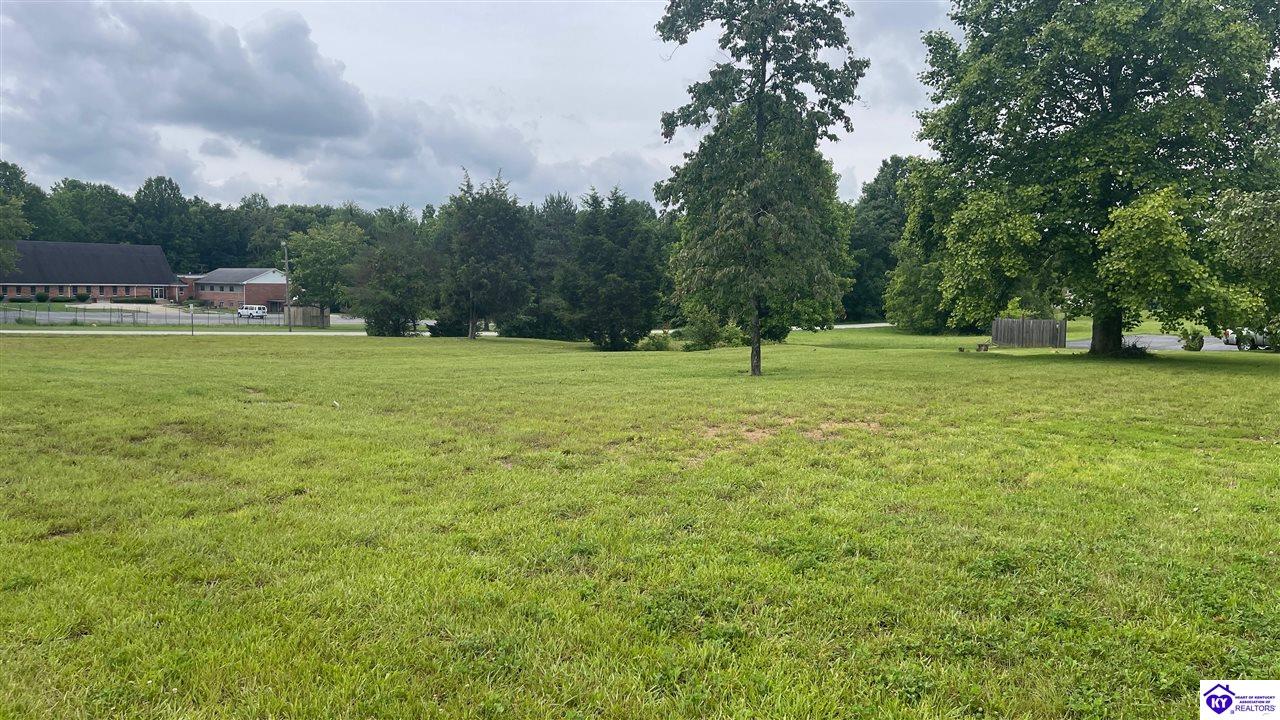 166 S Woodland Drive Radcliff, KY 40160 #4