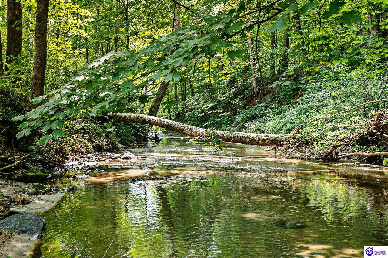 14899 Hodgenville Road Mount Sherman, KY 42764 #1