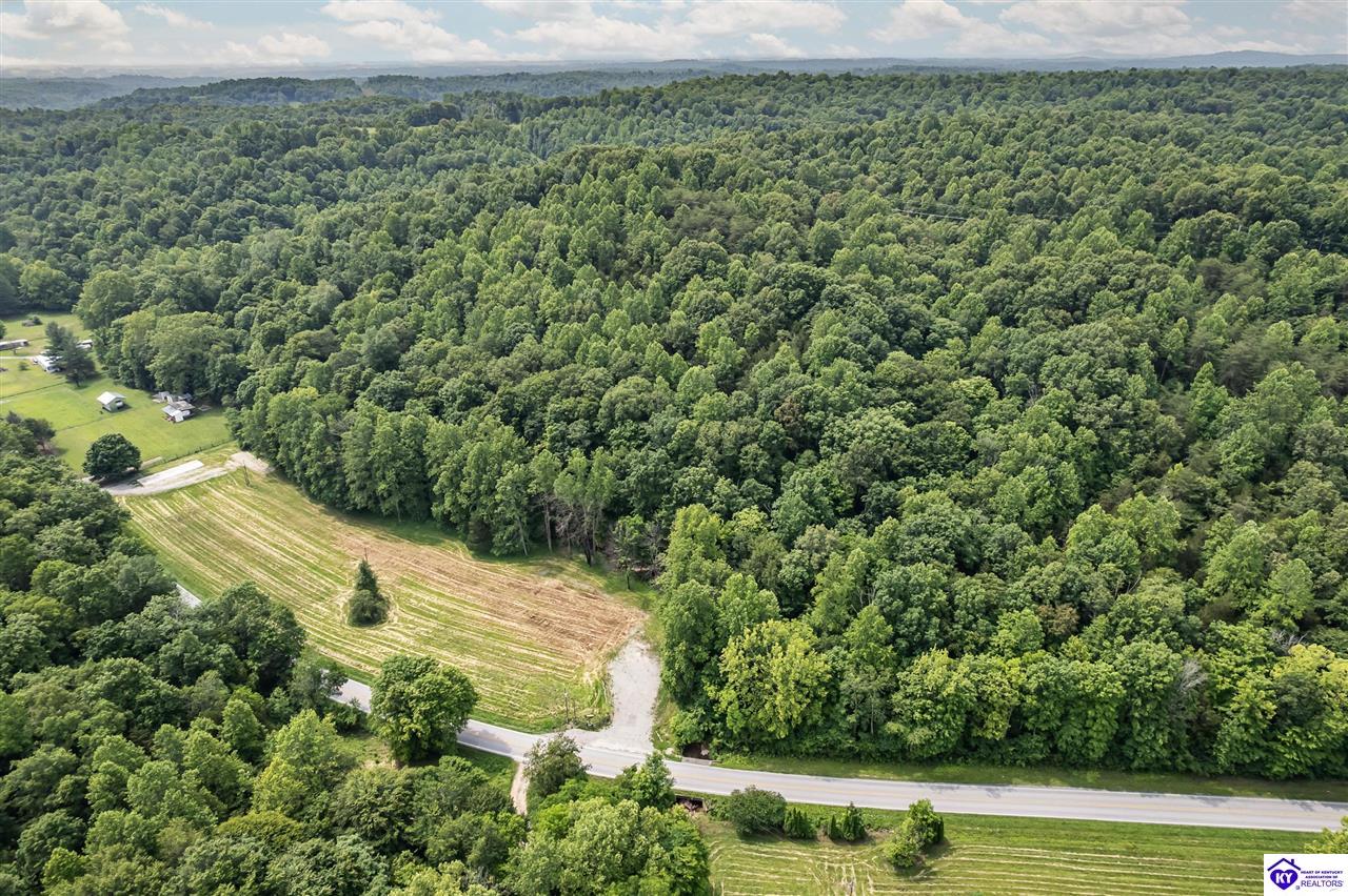 14899 Hodgenville Road Mount Sherman, KY 42764 #2