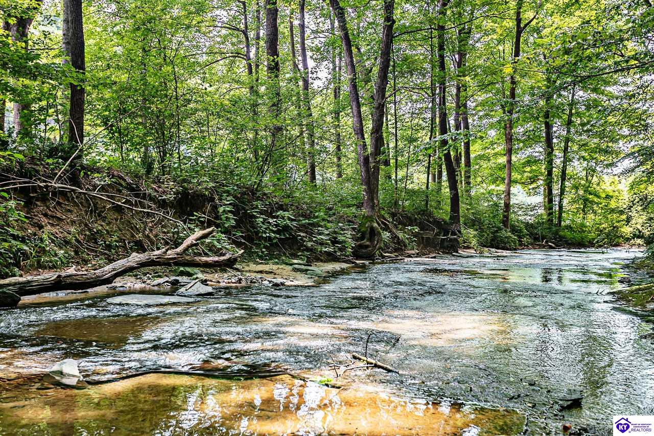 14899 Hodgenville Road Mount Sherman, KY 42764 #4