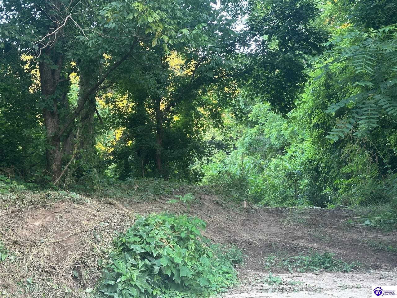 0 Highway 49Bradfordsville,&nbsp;KY&nbsp;40009