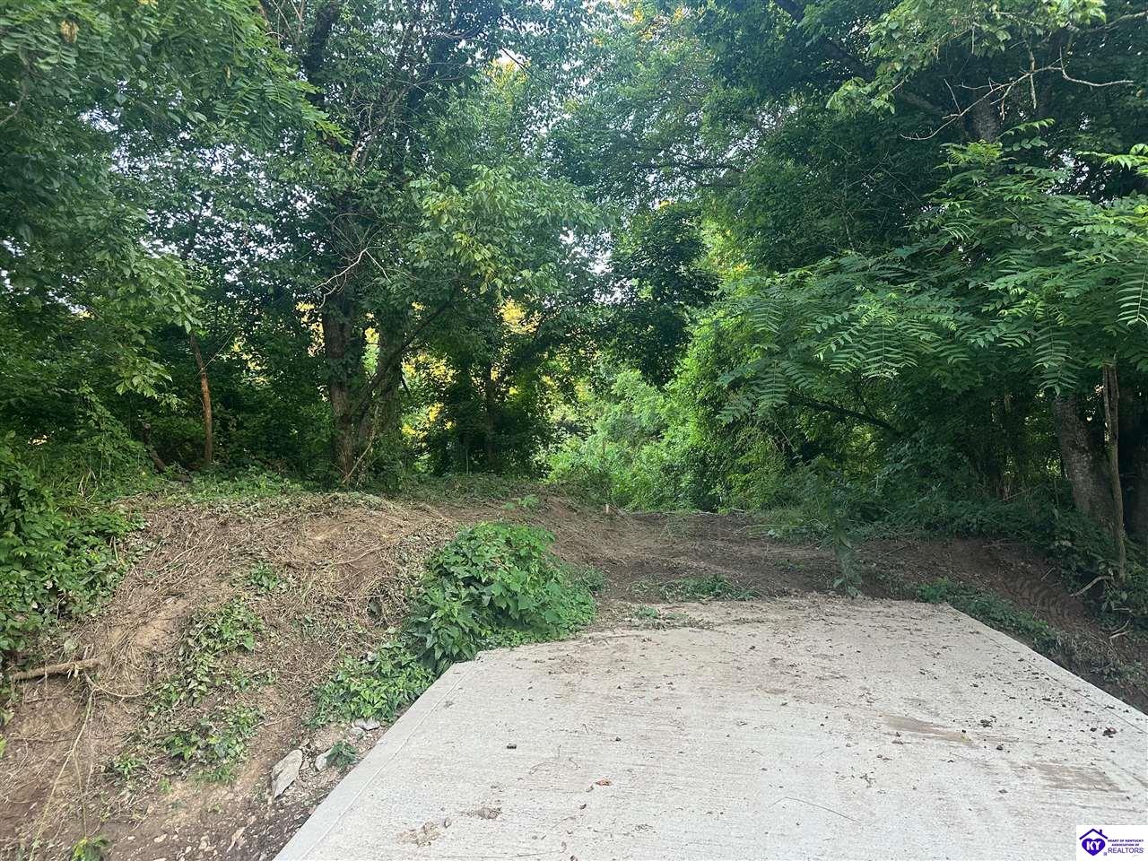 0 Highway 49 Bradfordsville, KY 40009 #1