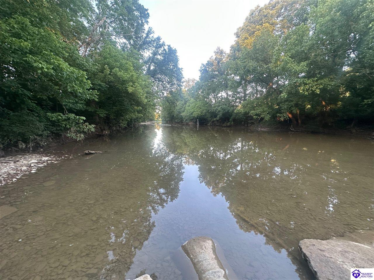 0 Highway 49 Bradfordsville, KY 40009 #3