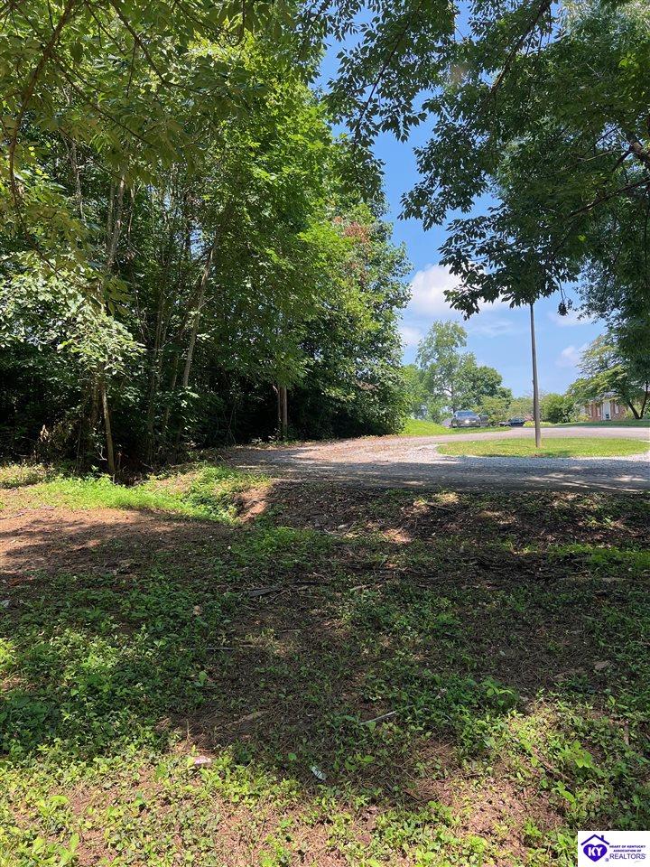 Lot 82 Hampton Court Campbellsville, KY 42718 #1
