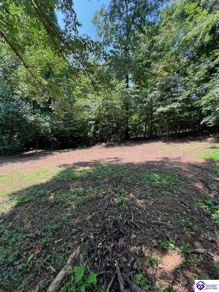 Lot 82 Hampton Court Campbellsville, KY 42718 #2