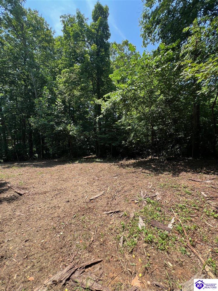 Lot 82 Hampton Court Campbellsville, KY 42718 #4