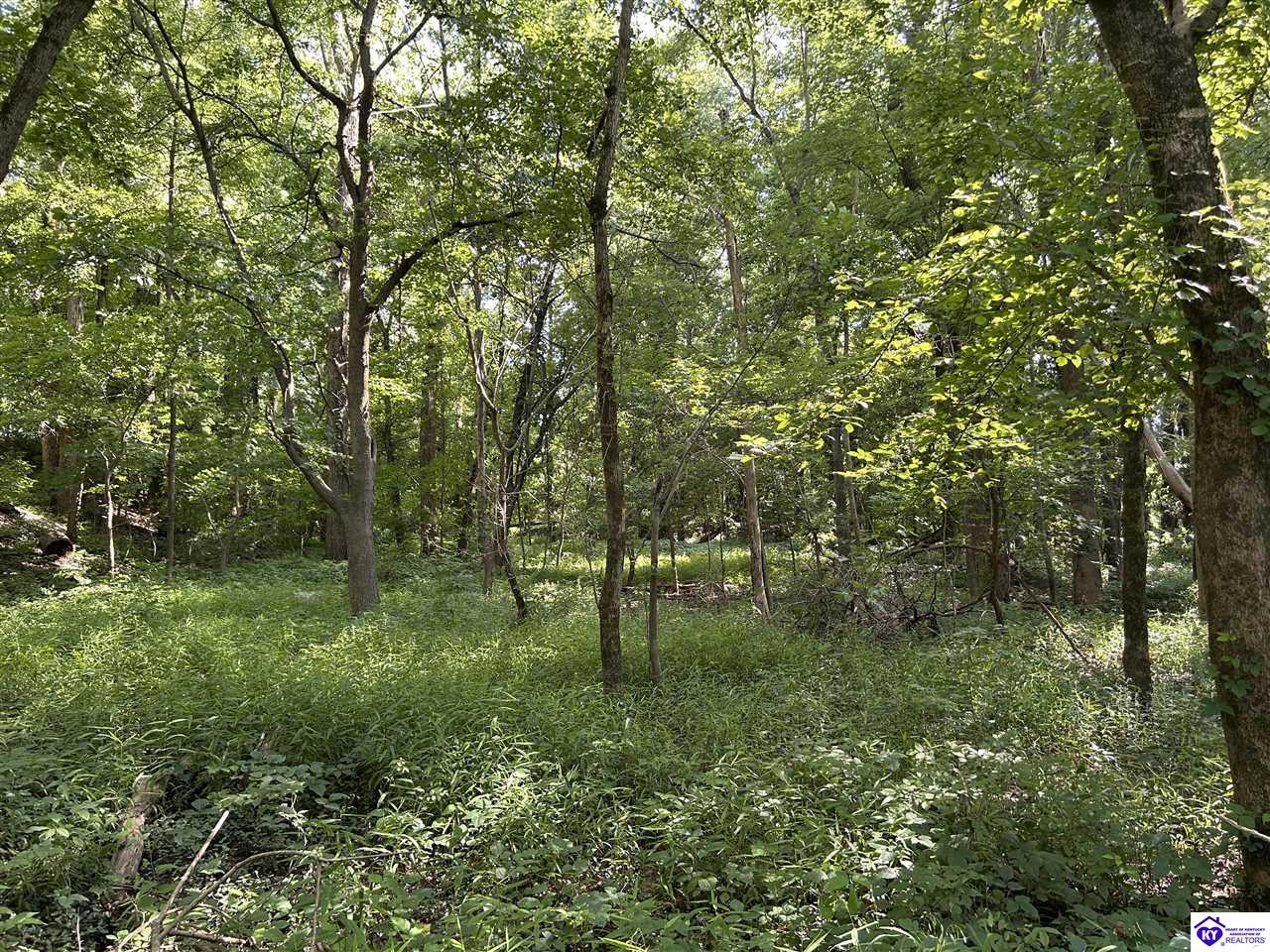 13 Cloverport Sand and Gravel Road Cloverport, KY 40111 #2