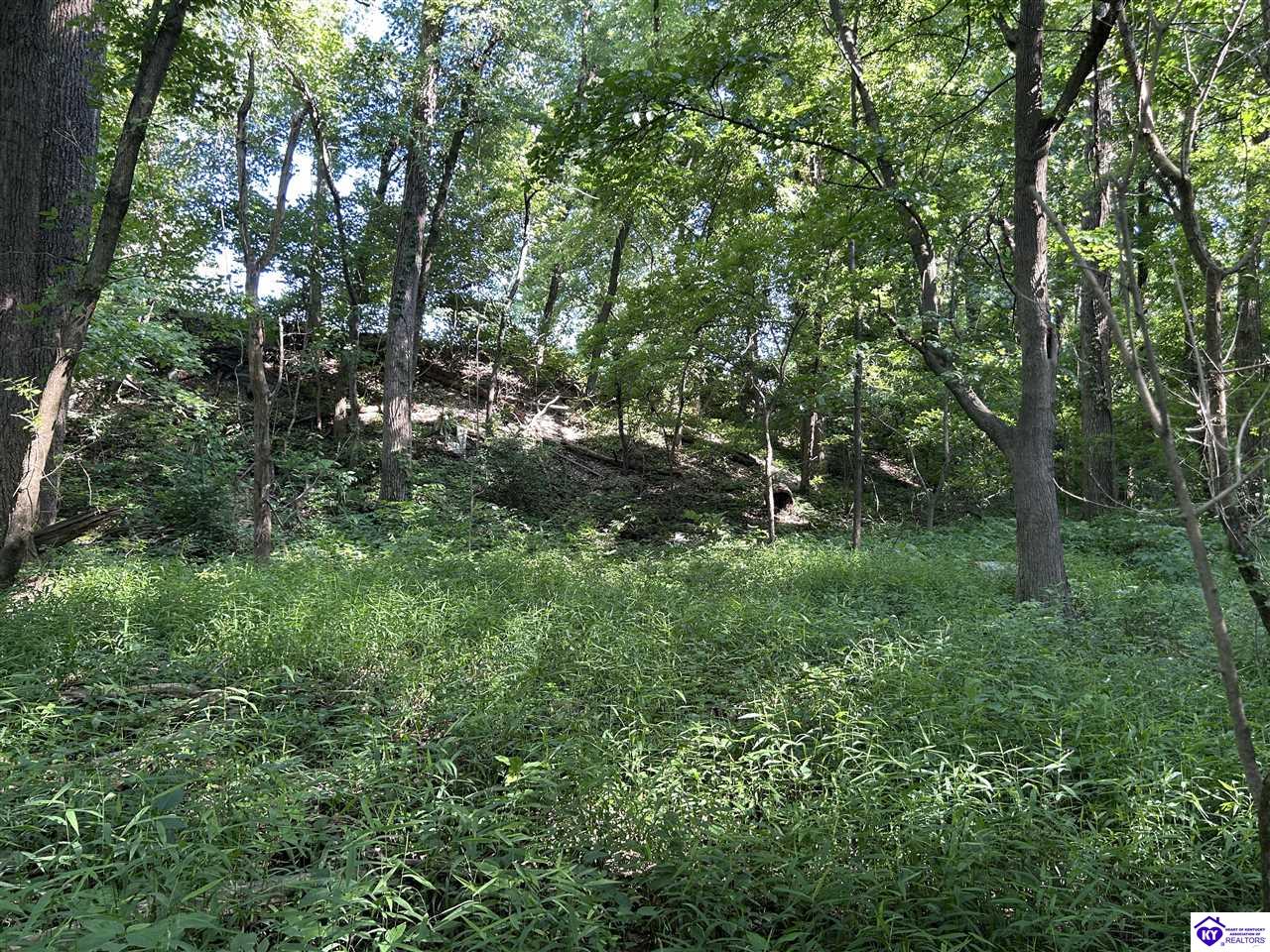 13 Cloverport Sand and Gravel Road Cloverport, KY 40111 #3