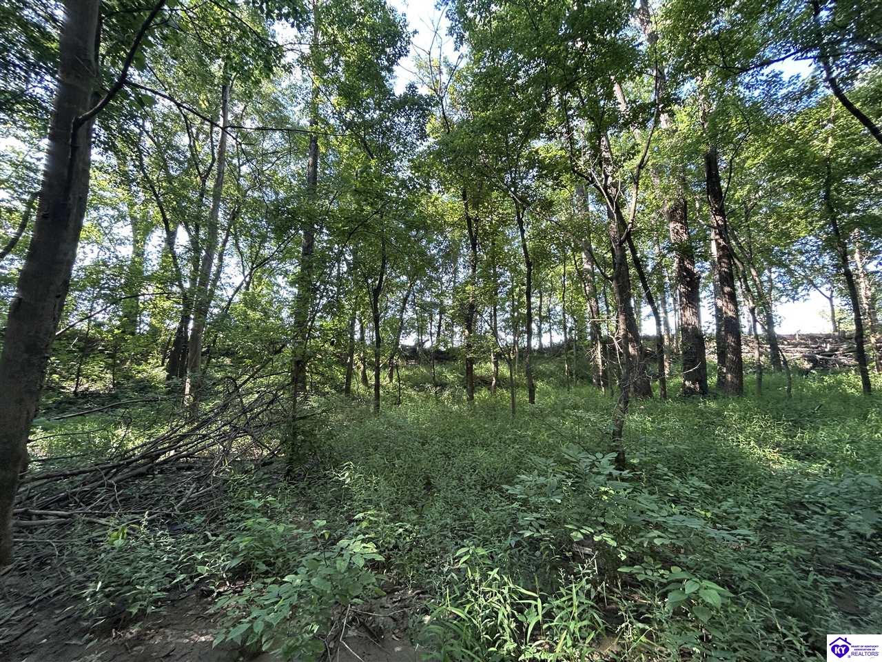 13 Cloverport Sand and Gravel Road Cloverport, KY 40111 #4