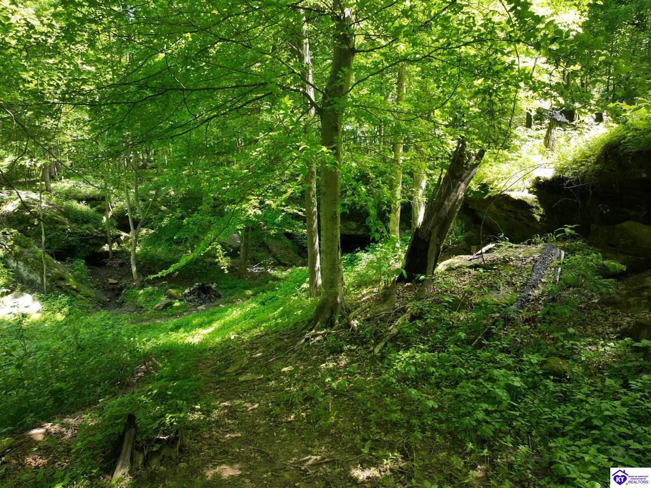 5579 Falls of Rough Road Caneyville, KY 42721 #1