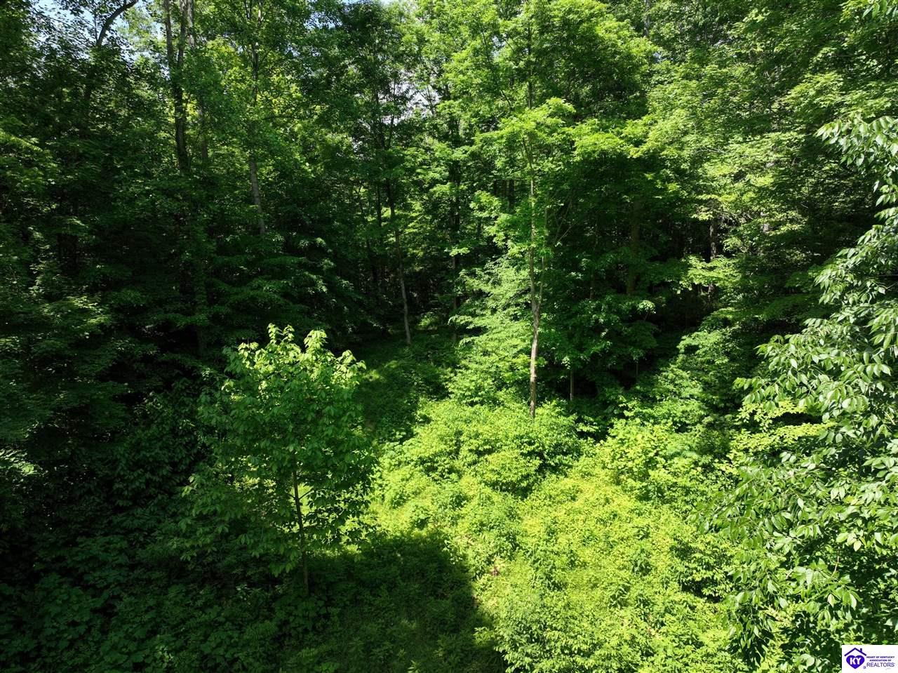 5579 Falls of Rough Road Caneyville, KY 42721 #2