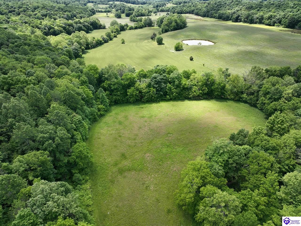 5579 Falls of Rough Road Caneyville, KY 42721 #3