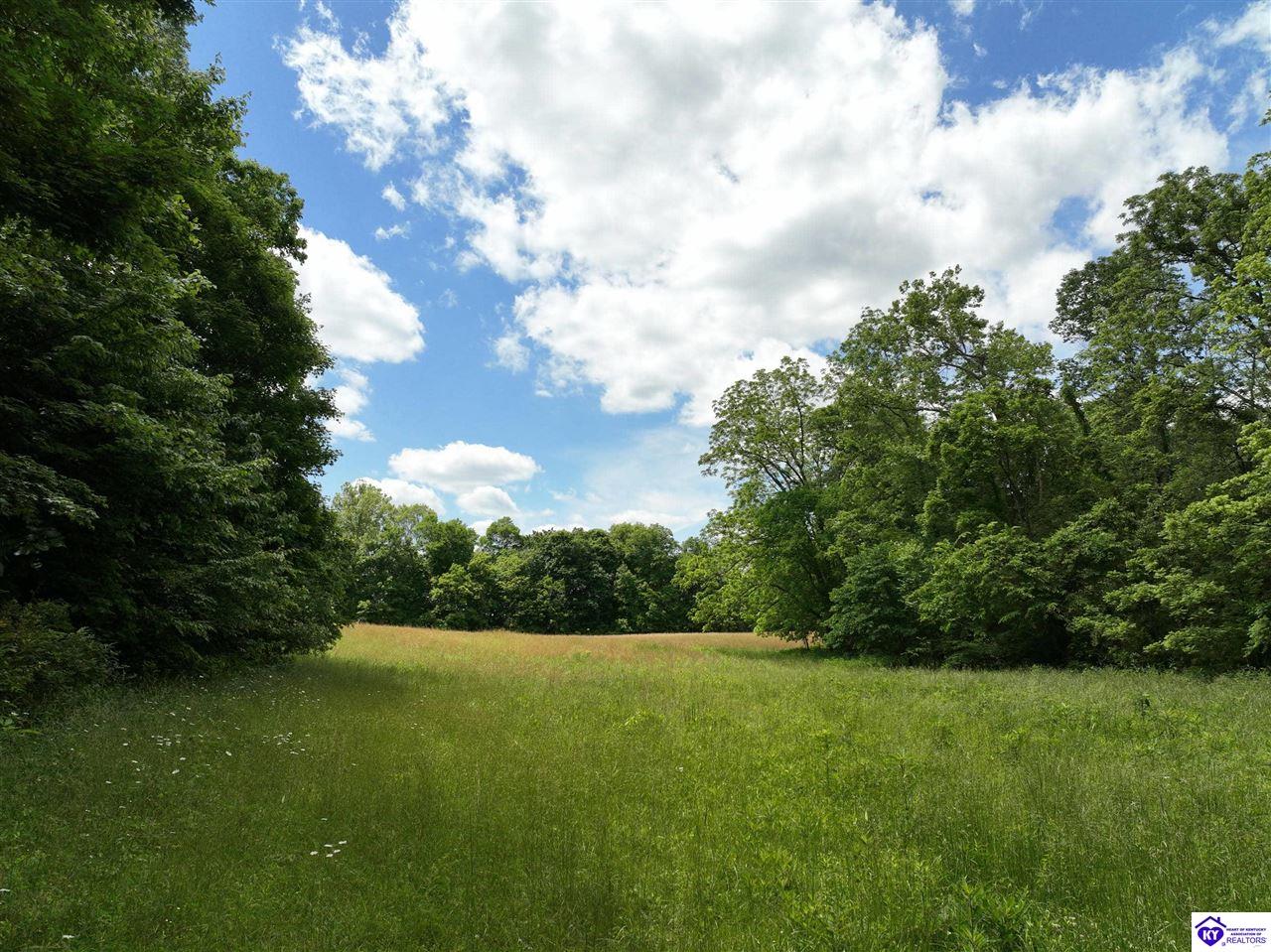 5579 Falls of Rough Road Caneyville, KY 42721 #4