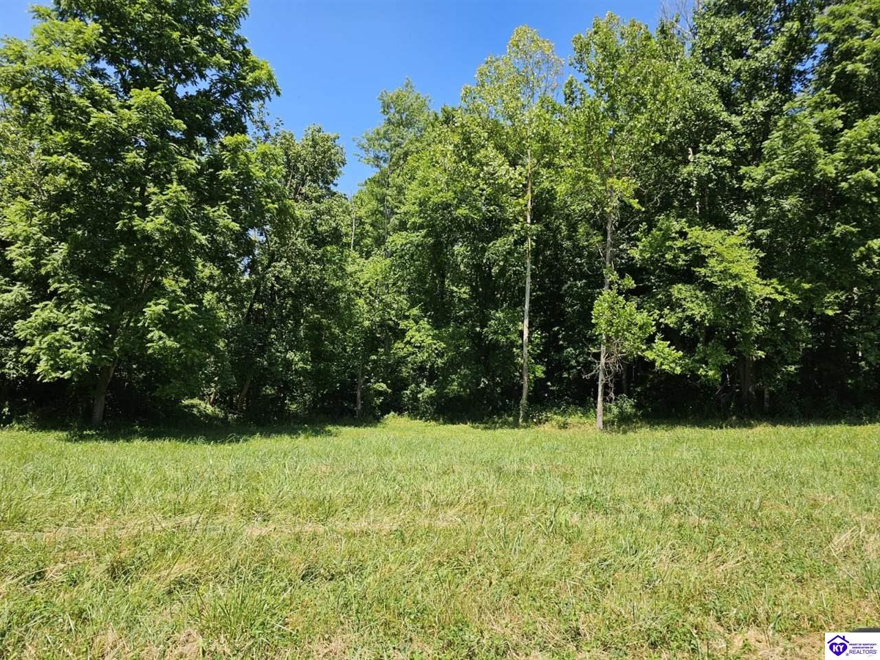 880 Round Bottom Road Magnolia, KY 42757 #2