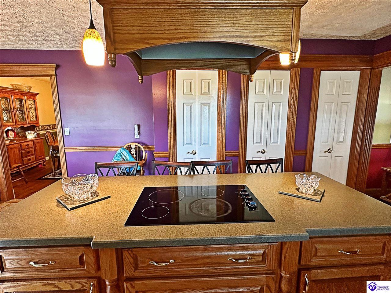 55 Delia Drive Campbellsville, KY 42718 #2