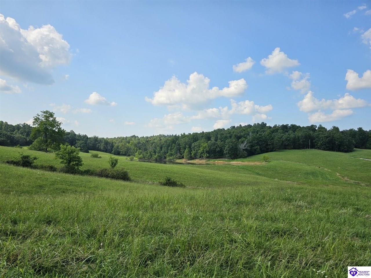 Tract 7 Troutman Lane Clarkson, KY 42726 #2