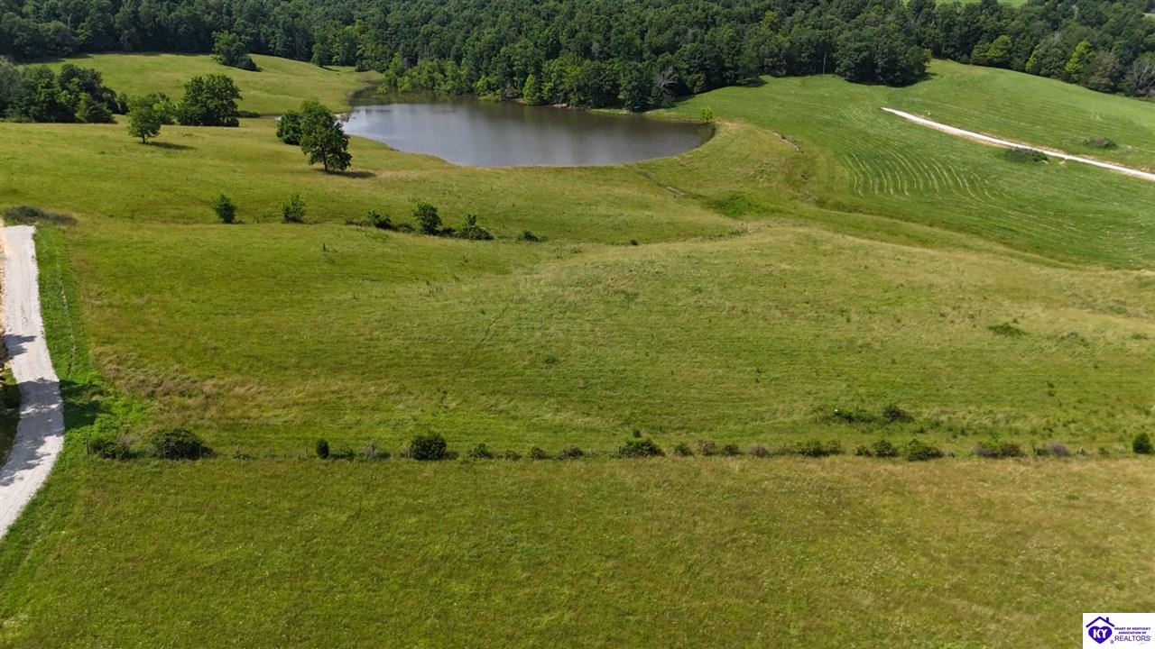 Tract 7 Troutman Lane Clarkson, KY 42726 #3