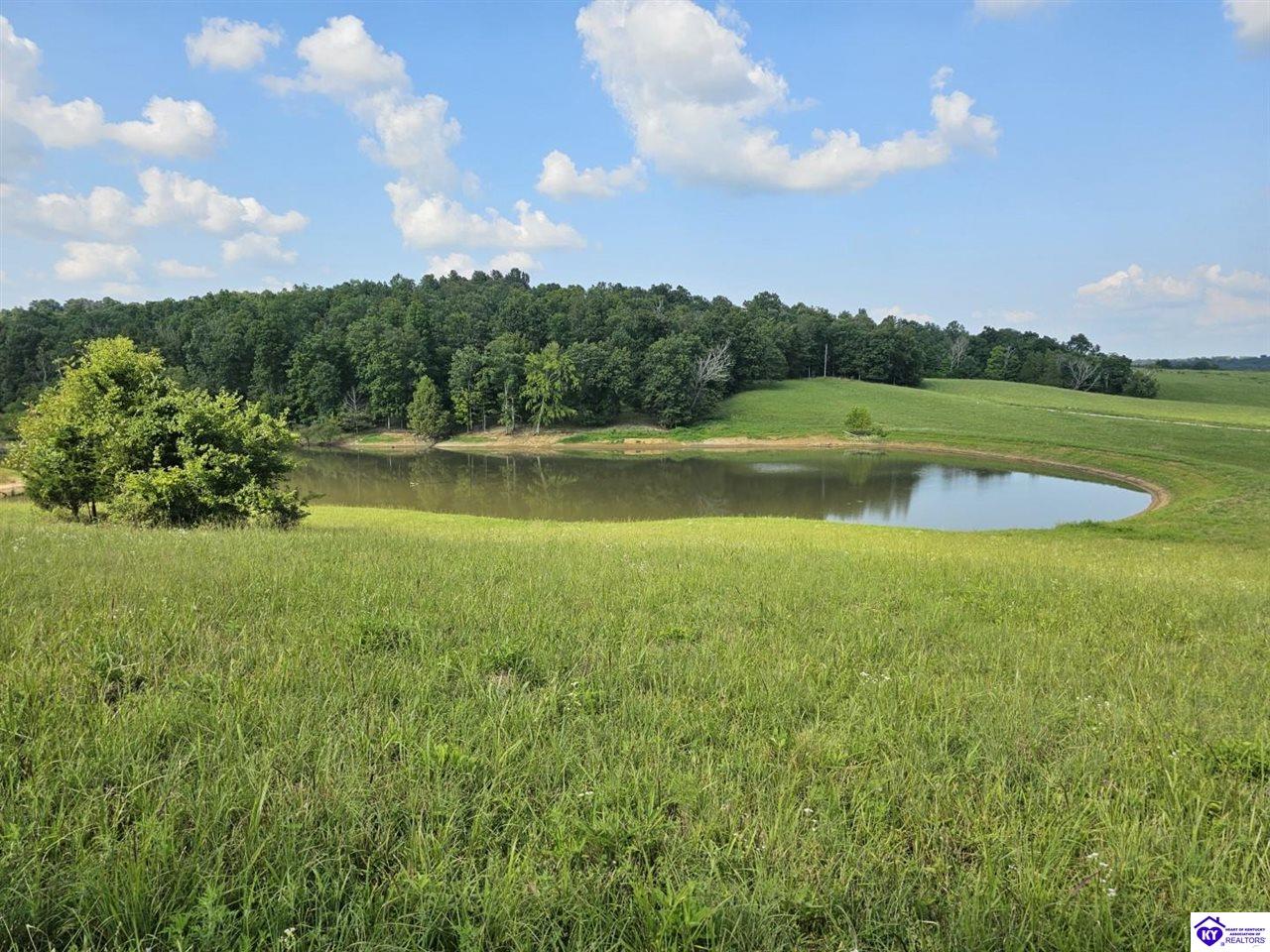 Tract 8 Troutman Lane Clarkson, KY 42726 #1