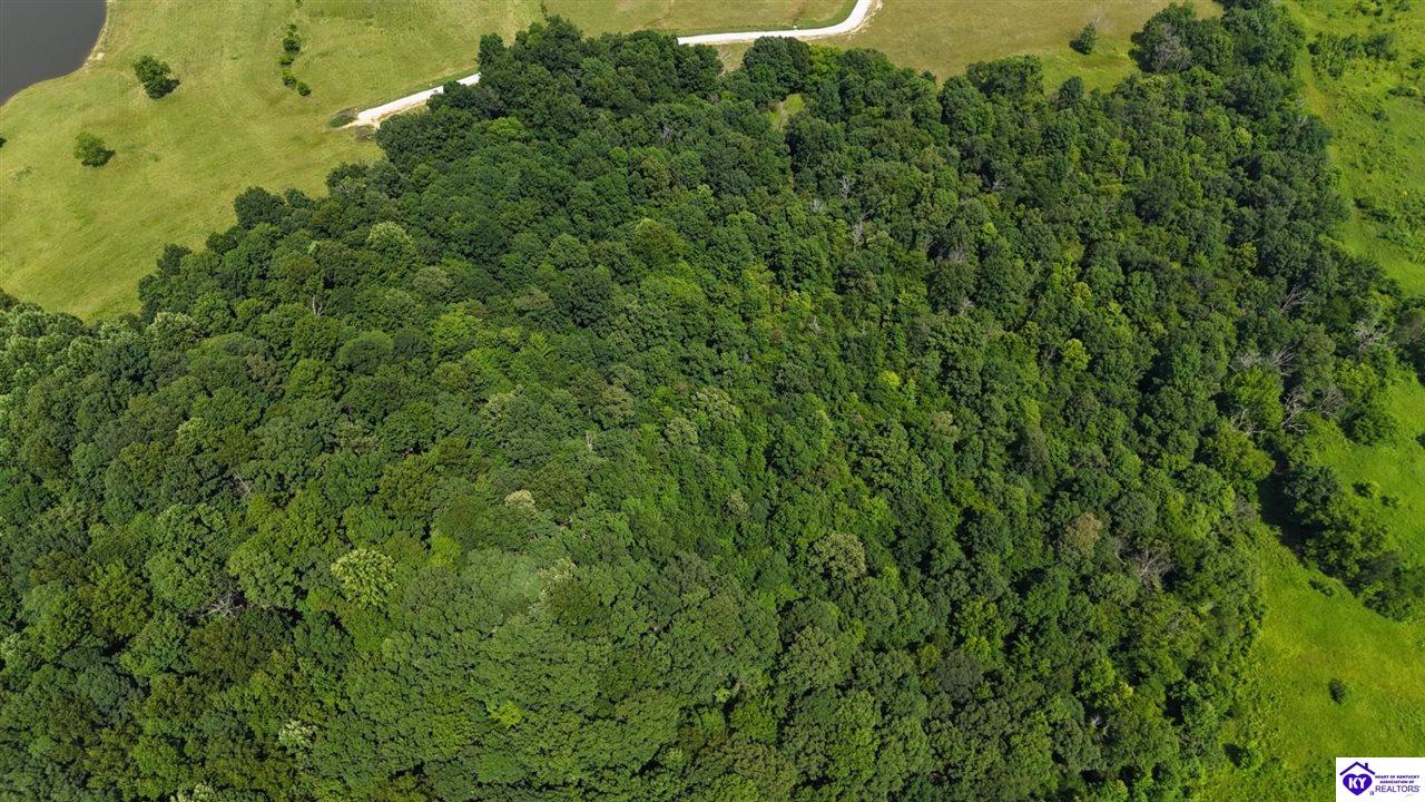 Tract 8 Troutman Lane Clarkson, KY 42726 #3