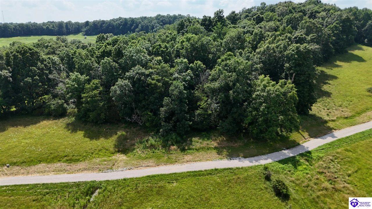 Tract 8 Troutman Lane Clarkson, KY 42726 #4