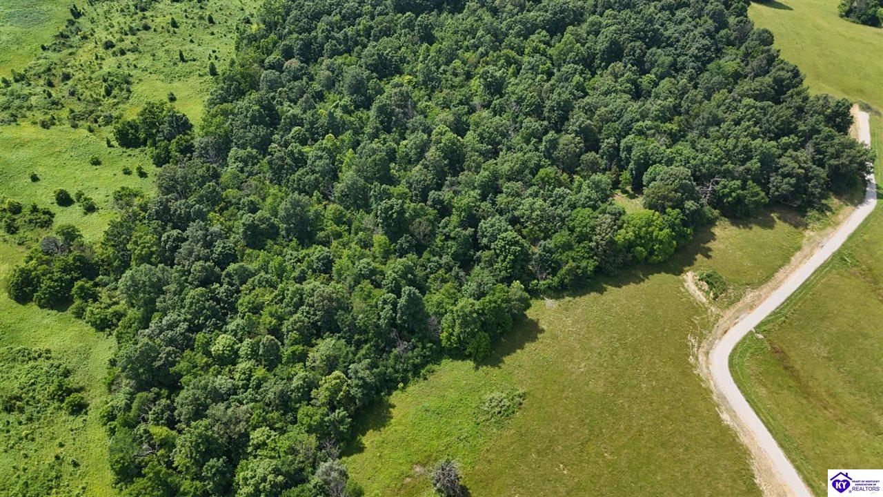 Tract 5 Troutman LaneClarkson,&nbsp;KY&nbsp;42726