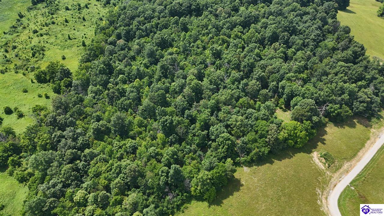 Tract 5 Troutman Lane Clarkson, KY 42726 #1