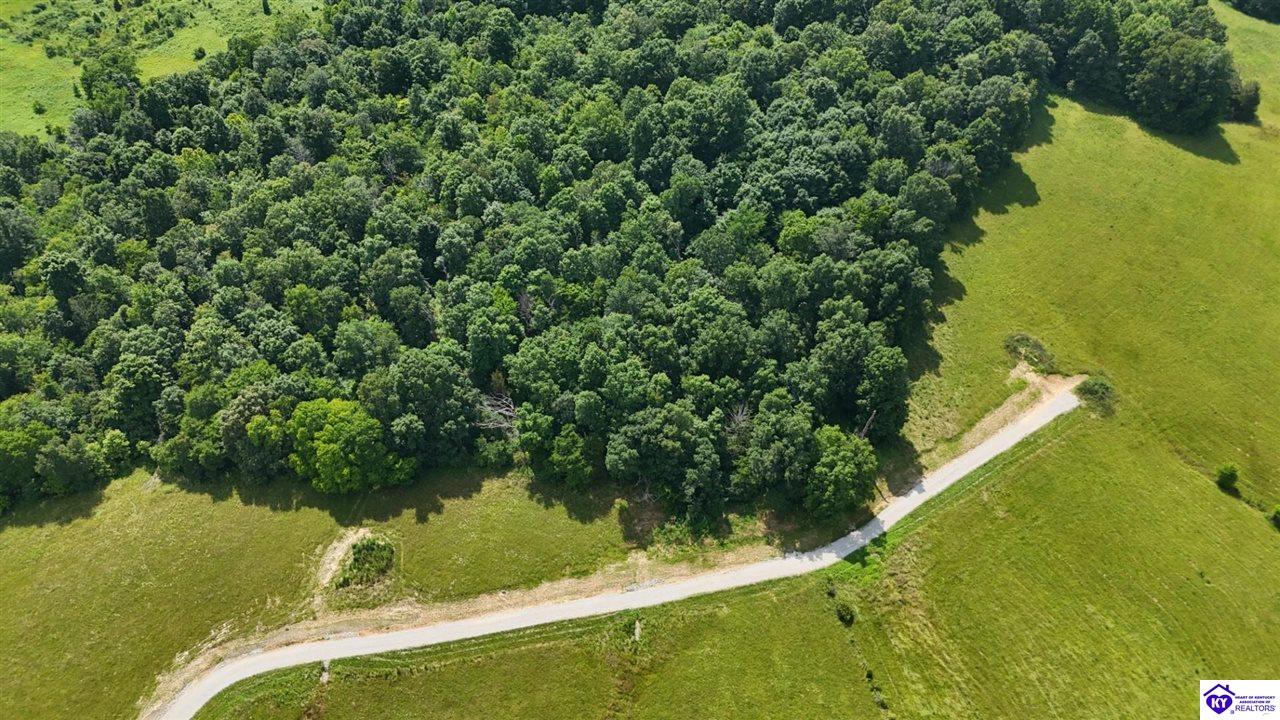 Tract 5 Troutman Lane Clarkson, KY 42726 #2
