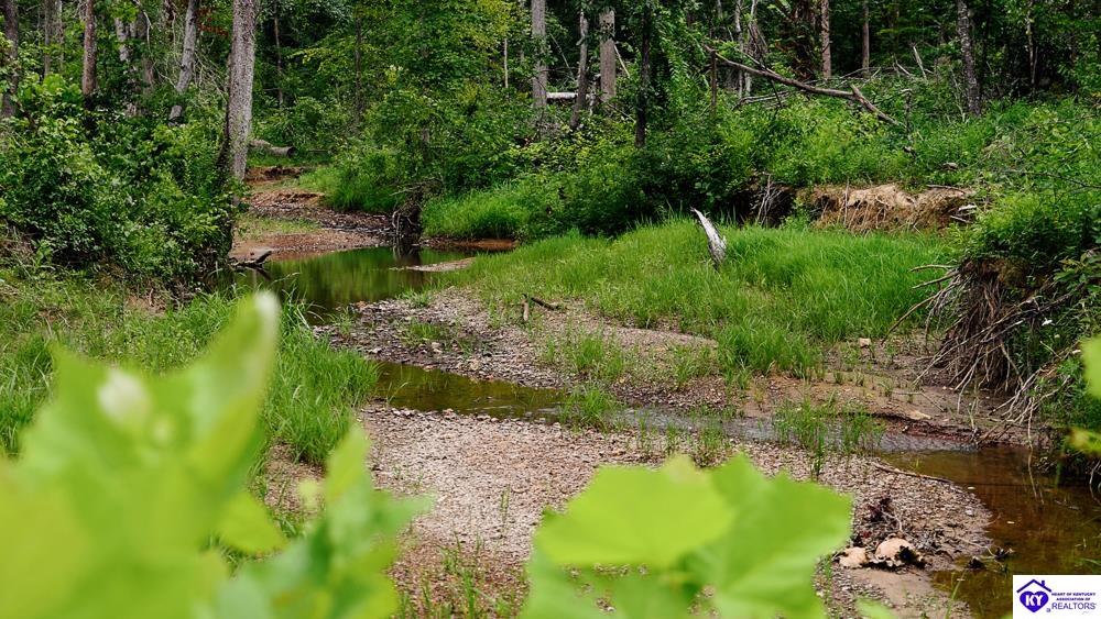 Tract 1 Cook Lane Cromwell, KY 42733 #1