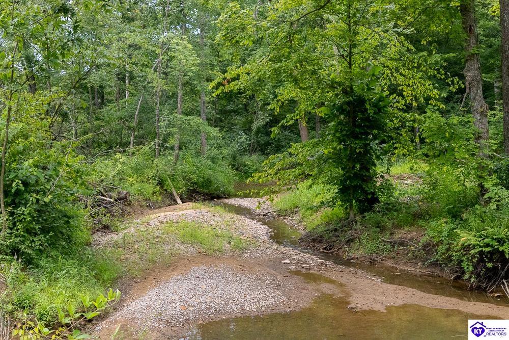 Tract 1 Cook Lane Cromwell, KY 42733 #3