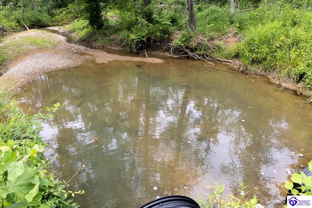 Tract 1 Cook Lane Cromwell, KY 42733 #4