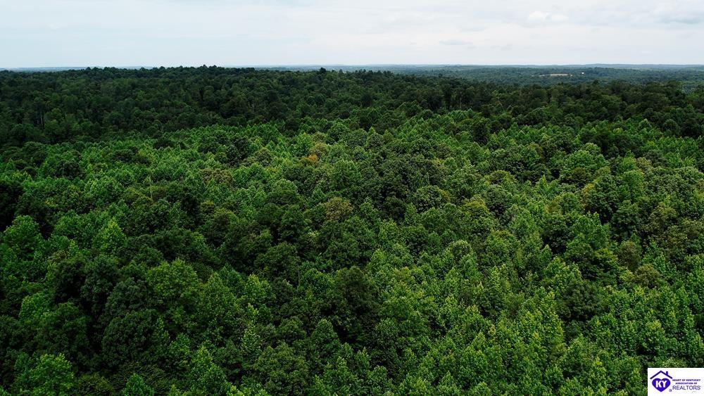 Tract 3 Cook Lane Cromwell, KY 42333 #1