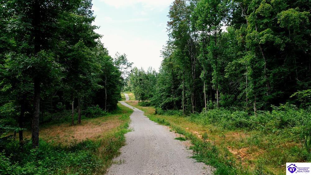 Tract 3 Cook Lane Cromwell, KY 42333 #2