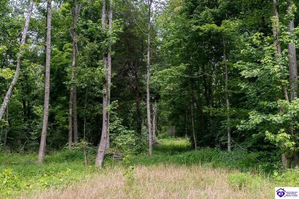 Tract 5 Cook Lane Cromwell, KY 42333 #3